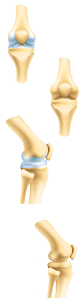 Orthopedic doctors 